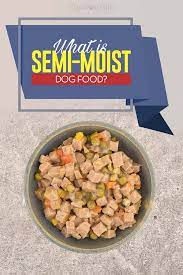 Semi Moist Dog Food How It Compares To Other Types Dog Food Recipes Can Dogs Eat Oranges Can Dogs Eat Corn