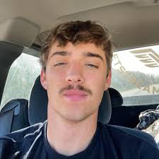 Dealing with extra queen in bee hive