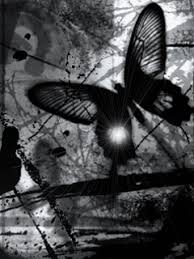 Beautiful Black And White Screensaver Https Encrypted Tbn0 Gstatic Com Images Q Tbn 3aand9gctn5nyedknt2ldpl2vuia1ltb4zqimjtdi6jg Usqp Cau