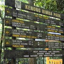 Covering an area of 121 sq. Kenong Rimba Park Eco Tour Mountain Planet