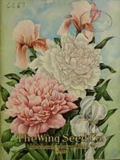 Pin On A Gardener S Notebook