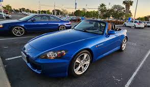 Image result for Blue Inca 2008 147