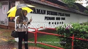 Kawasan ini seluas 5 ekar. Penang Bird Park Taman Burung Pulau Pinang Seberang Jaya Cikjambujalanjalan Youtube