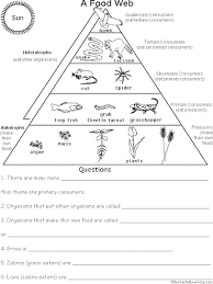 This worksheet allows students to interpret a graph showing data collected as changes are made to the org. 4 12 Ws Food Chains And Webs