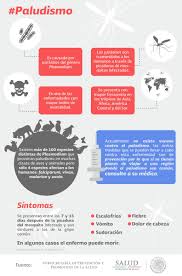 See more of paludismo on facebook. Salud Mexico On Twitter Sintomas De Paludismo Http T Co Ziim7lramu