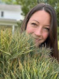 Canton Shade Tree Commission