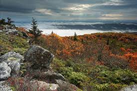 Use images for your pc, laptop or phone. Bilder Von Vereinigte Staaten West Virginia Natur Herbst Hugel