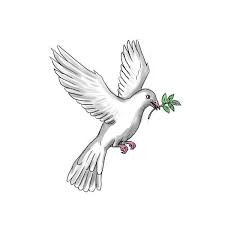 We did not find results for: Warna Burung Merpati Stok Foto Warna Burung Merpati Gambar Bebas Royalti Depositphotos