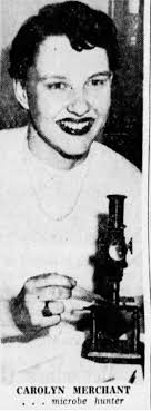 Plastic bag ban in New York: Maybe an end to bags in trees