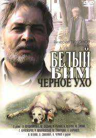 смотреть сериал дом с лилиями онлайн бесплатно все серии Belyy Bim Chernoe Ukho 1977 Movie Buff Film Drama Movies