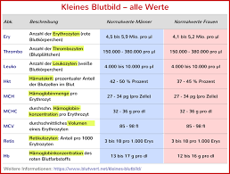 Es wird daher auch als differentialblutbild bezeichnet. Kleines Blutbild Alle Werte Und Was Sie Bedeuten Anatomie Lernen Medizin Bilder Anatomie Und Physiologie