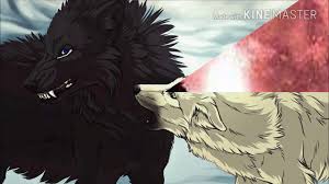 Fan art of anime wolf for fans of wolves 10983897. Anime Wolves White Rabbit Youtube