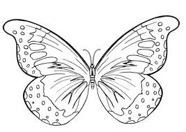 These butterflies are great to use for various crafts and activities. Printable Coloring Pages For Kids Butterfly Drawing With Crayons