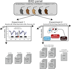 A Multi Omics Digital Research Object For The Genetics Of