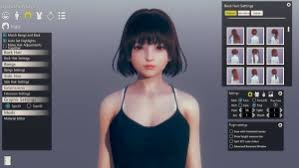 Open the game directory and run file br honeyselect 2 registry. Honey Select 2 Technical Help Hgames Wiki