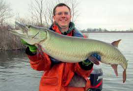 Welcome to muskies inc., the largest fishing and conservation organization in the. Dnr Fish Wildlife Muskie Fishing