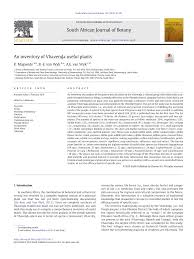 Image result for Conostomium gazense