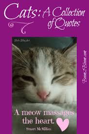 Cats A Collection Of Quotes Boom2bloom Com Cats Cat Quotes Cat Pics