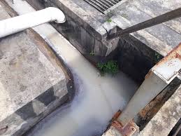 Kotoran cacing inilah yang bisa menyuburkan tanah disekitarnya. Kilang Makanan Didakwa Punca Pencemaran Di Kampung Baru Balakong Utusan Digital