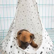 45 days money back guarantee. Foldable Cat Hammock Bed Removable Breathable Washable Conical Tent For Small Dogs Sleeping Creative Pets Hanging Beds Product Cat Beds Mats Aliexpress