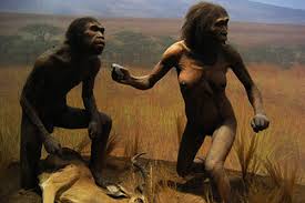Stiinta si cultura se preda in scoli. Homo Erectus Cheia Evolutiei Sau Punct Terminus