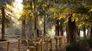 Check spelling or type a new query. Carbon Canyon Regional Park Oc Parks