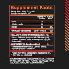 BPI Sports CLA + Carnitine (Fruit Punch, 13.05oz