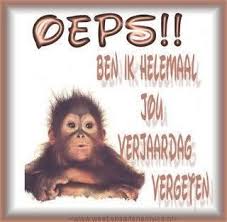 18 Ideeen Over Verjaardag Vergeten Verjaardag Late Verjaardag Verjaardagskaarten