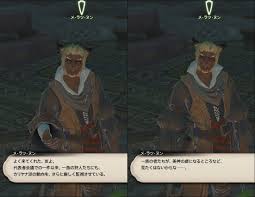 Yaruyo Banzoku 日記 4 1クリア後 いろんなnpcに話してみた Final Fantasy Xiv The Lodestone