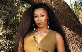 DJ Zinhle on motherhood and expanding her Era brand