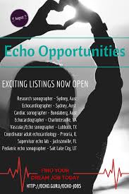Maybe you would like to learn more about one of these? Echo Jobs Newsletter August Echo Guru
