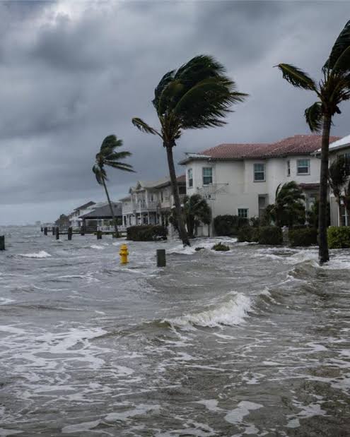 Huracán Isaías alcanza categoría 2 y amenaza la costa del golfo de Estados Unidos – Canal CampoTV