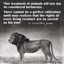 Account Suspended Animal Rights Animal Quotes Stop Animal Cruelty