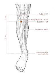 How To Boost The Immune System Wright Acupuncture