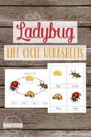 Just print them, cut out the domino pieces from the worksheet and play. Ladybug Life Cycle Worksheets