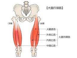 jap2 おしゃれまとめの人気アイデア pinterest adod エクササイズ 大腿 治療