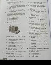 We did not find results for: Tujuan Utama Kulit Mengeluarkan Keringat Adalah Masnurul