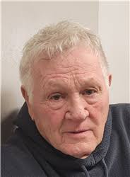 Harry Vincent Edelman