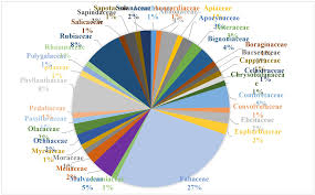 Image result for Viridivia suberosa