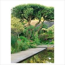 Gap Photos Garden Plant Picture Library View For Top Of Canal To Bramley Apple Tree And Arch Cornus Mas Var Plant Pictures Contemporary Garden Clematis
