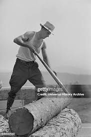 120 Lowell Wood Stock Photos, High-Res Pictures, and Images