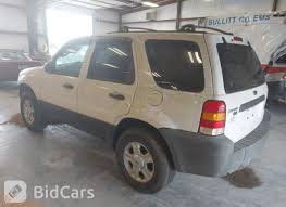 Image result for Gold Ash 2005 Escape