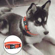 Bird Safe Cat Collar Dog Collar Adjustable Pvc Waterproof Deodorant Pet Cat Collar By Awtang Orange Xs For More Information Visit Image Link It Is An Cat Collars Pets Cats Dogs