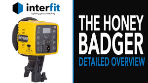 Interfit Usa Honey Badger 320ws 2 Light Kit