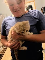 Eric Corson's Instagram, Twitter & Facebook