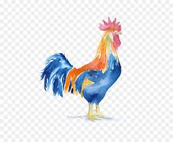 Sie müssen sich dann zwar meist erst ein wenig. Aquarell Auf Papier Huhn Drucken Schwanz Png Herunterladen 580 725 Kostenlos Transparent Geflugel Png Herunterladen