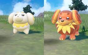 Where to find and catch Fidough and Dachsbun in Pokemon Scarlet and Violet