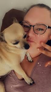 Chihuahua anxiety around small children and face-licking habits