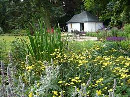 Mcque Gardens Breakfast Patio In The Scottish Borders Achillea Stachys Iris Salvia Echinops Garden Design Outdoor Gardens Garden