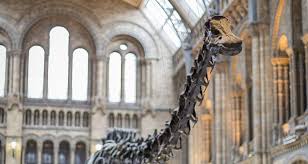 Next to the river wensum in the historic heart of norwich, you'll be well placed for exploring all the business and leisure destinations the city has to offer. Exhibition Details Revealed Ahead Of Dippy The Dinosaur S Visit To Norwich Cathedral This Summer Diocese Of Norwich